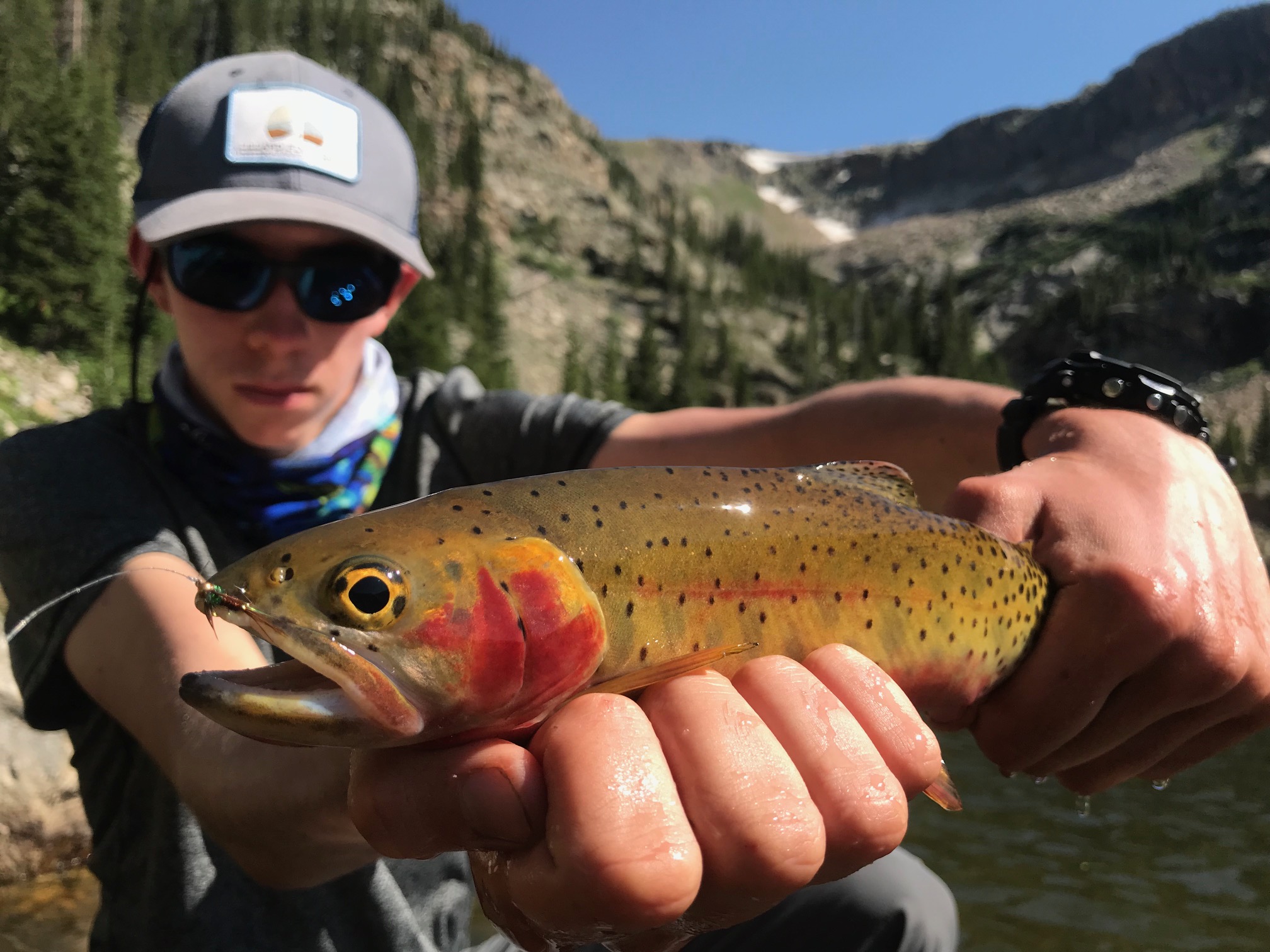 Boy holding a fish