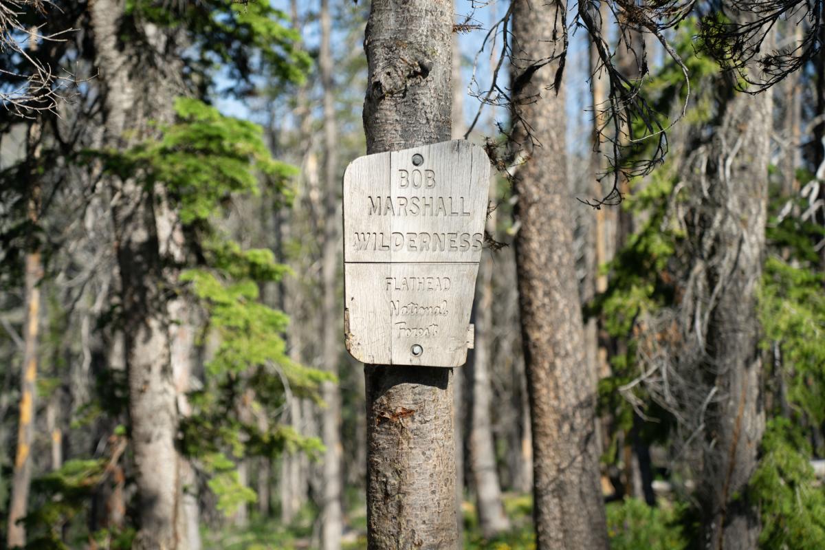 bob sign 