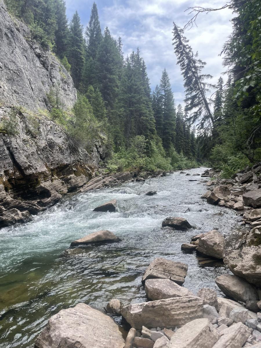 north fork 