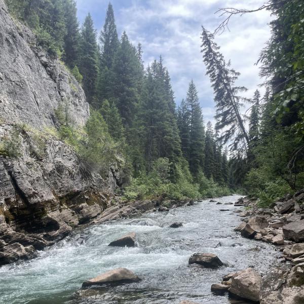 north fork 