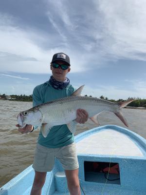 Tarpon