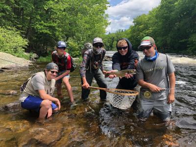 group trout 