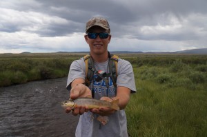 One of the eager Brown trout of the Cochetopa Creek