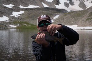 Stephen's Grayling caught at 12,750 feet