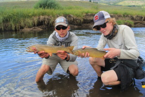 Trophy Yellowstone Cutthroat coming in pairs!