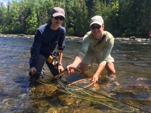 One of many brook trout from the East Outlet of the Kennebec just a stones throw from our campsite. 