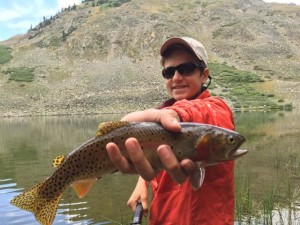 One of many high alpine cutthroat. 