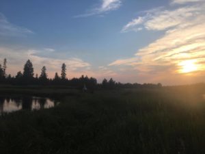 Fishing the last bit of sunlight. 