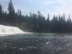 Cave Falls is the widest waterfall in Yellowstone National Park.